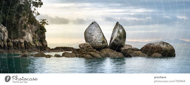 Fel sen Natur Landschaft Wasser Wolken Horizont Felsen Küste Meer außergewöhnlich Abenteuer bizarr Ferien & Urlaub & Reisen Neuseeland split apple rock
