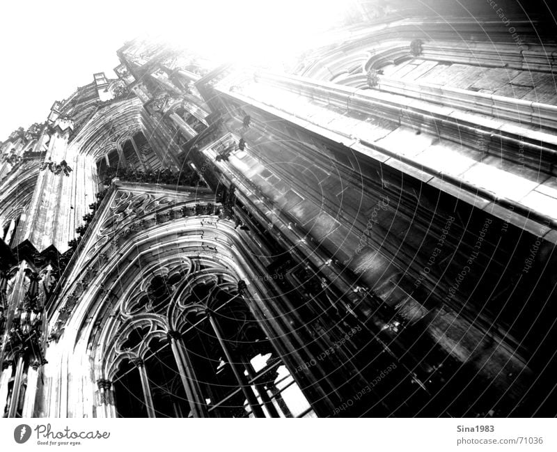 Zum Himmel Köln schwarz weiß Gotik Fenster Schnörkel Ornament Dom Schwarzweißfoto hoch Religion & Glaube geistlich hell Sonne Architektur