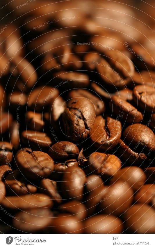 riechst du den duft? Kaffeebohnen Koffein Café braun Geschmackssinn Brunch Heißgetränk Bohnen aromatisch Duft Tee rösten