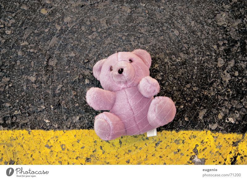 teddy bear rosa teddybear small teddybear pink bear rectangular rectangular size road road crash a pink nice teddy bear outdoor shooting