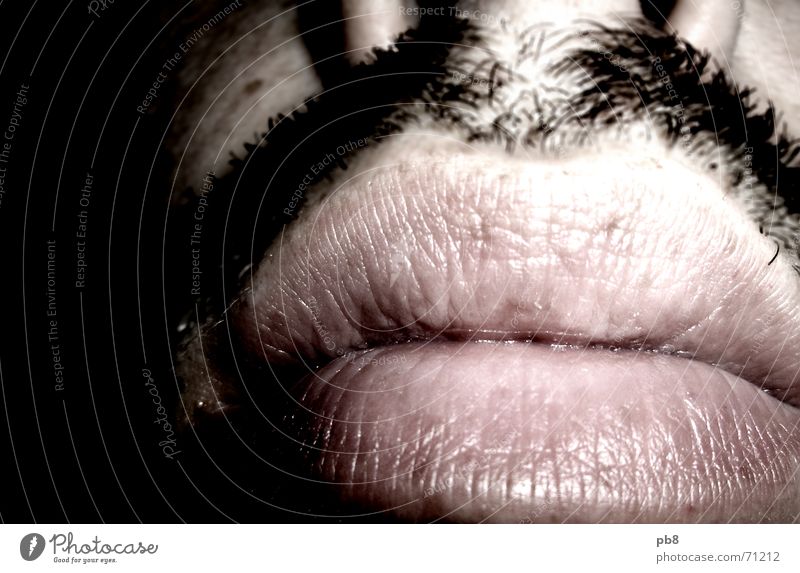 mugshot detail Lippen Bart Mund Nase Haut Haare & Frisuren Kontrast