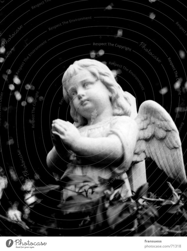 abschied niedlich Friedhof Grab Kind Oberammergau Efeu Trauer Beerdigung Engel Schwarzweißfoto Traurigkeit