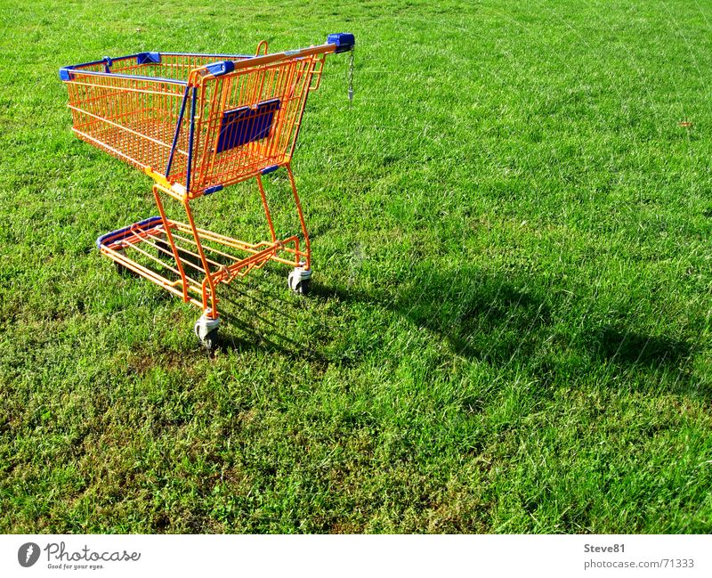 Öko Shopping 1 Einkaufswagen Wiese grün Gras Handel Supermarkt Lebensmittel Lebensunterhalt Freizeit & Hobby Einzelhandel Großhandel Konsum Natur
