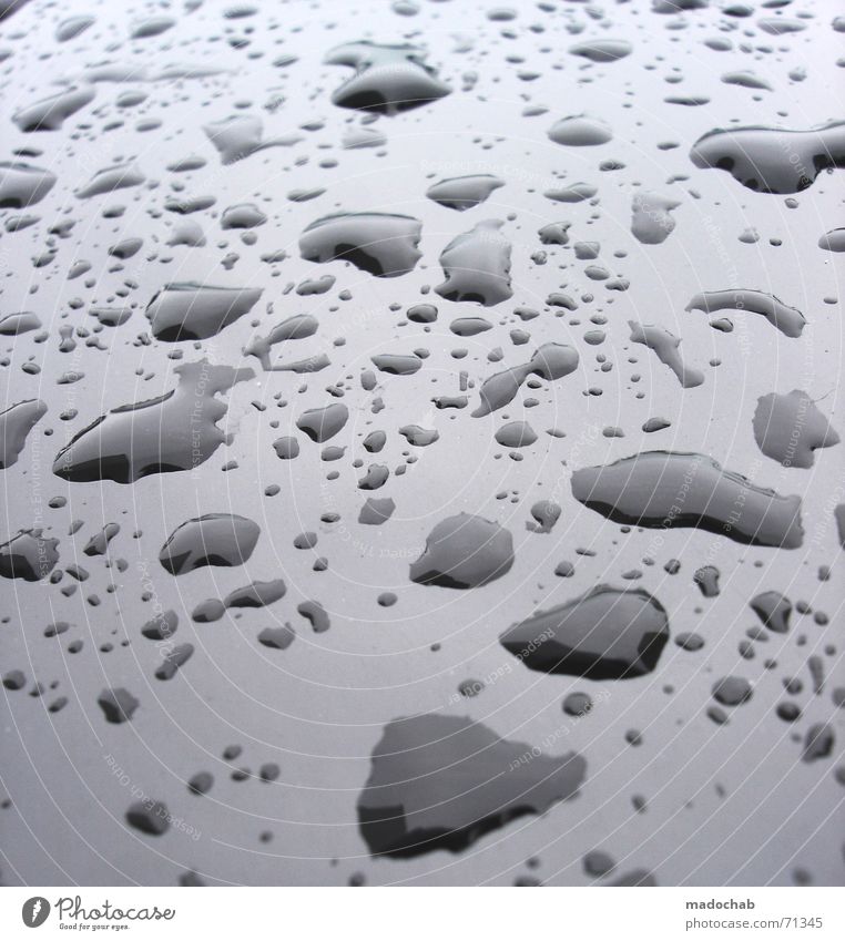 DRIP DROP | tropfen wasser reflektion regen rain muster pattern Sammlung trocknen nass feucht Muster Wassertropfen Gefängniszelle klumpen horde Regen