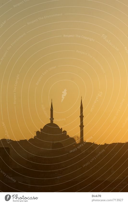 Abendlicht im Morgenland I Wolkenloser Himmel Sonnenaufgang Sonnenuntergang Frühling Schönes Wetter Istanbul Türkei Turm Bauwerk Architektur Moschee Minarett