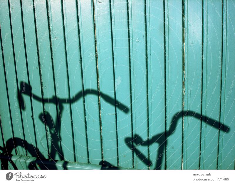 RIDE MY SHADOW | fahrrad schatten bike shadow cyan türkis Fahrrad fahren vermieten Student Niederlande Wand Holz graphisch mono zyan Schatten fahrradschatten