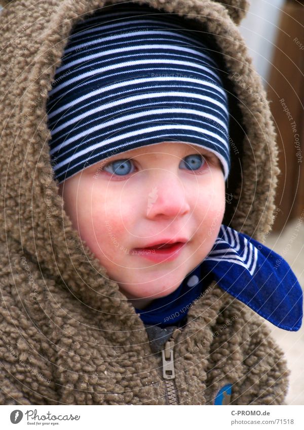 Junge mit Kapuze und Mütze und strahlenden Augen Kind kalt Winter Herbst Halstuch Kleinkind Gesicht staunen Schwäche bewundern Jungpflanze Nase blaue augen