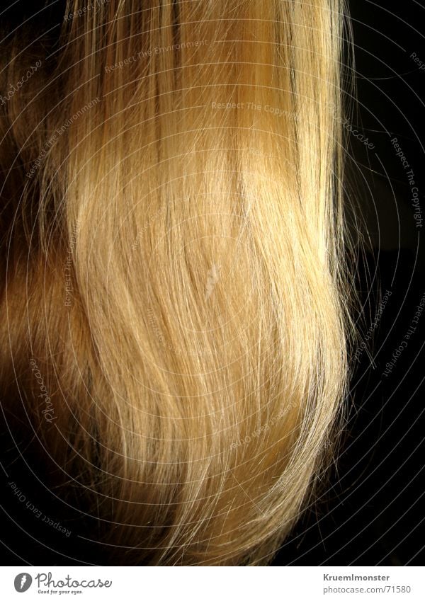 Rapunzel, lass dein haar hinunter^^ blond lang Wellen wellig glänzend Haare & Frisuren hair Feldsalat Glätte