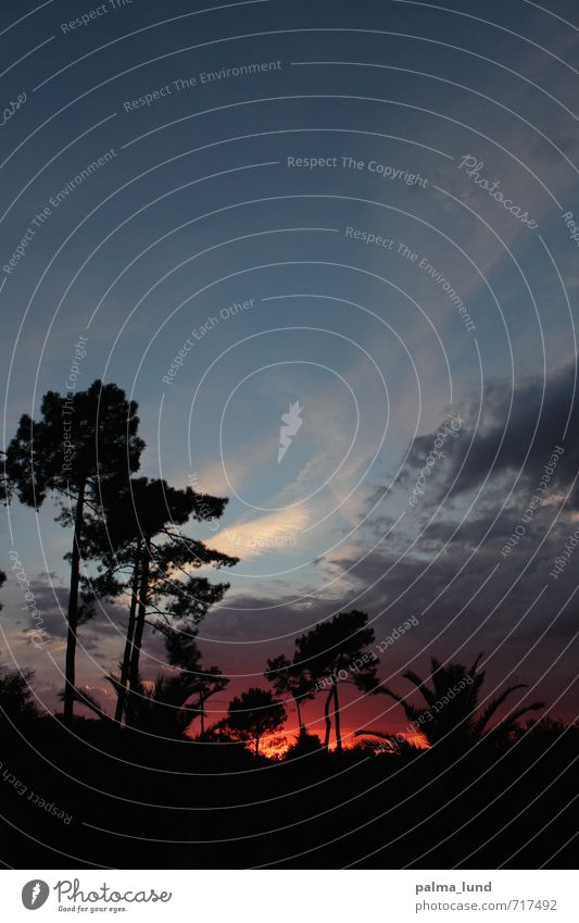 Nuit Umwelt Natur Landschaft Urelemente Himmel Wolken Horizont Sonne Sonnenaufgang Sonnenuntergang Frühling Sommer Herbst Klimawandel Wetter Schönes Wetter