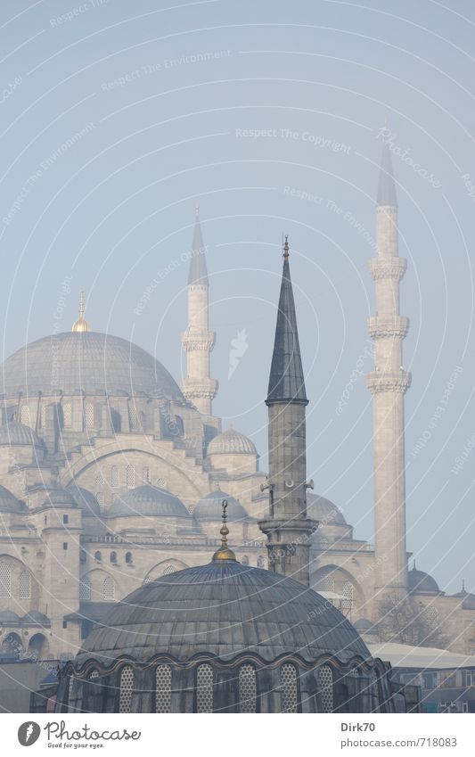 Morgens in Istanbul I Frühling Schönes Wetter Nebel Türkei Turm Bauwerk Gebäude Architektur Moschee Gotteshäuser Kuppeldach Minarett Sehenswürdigkeit
