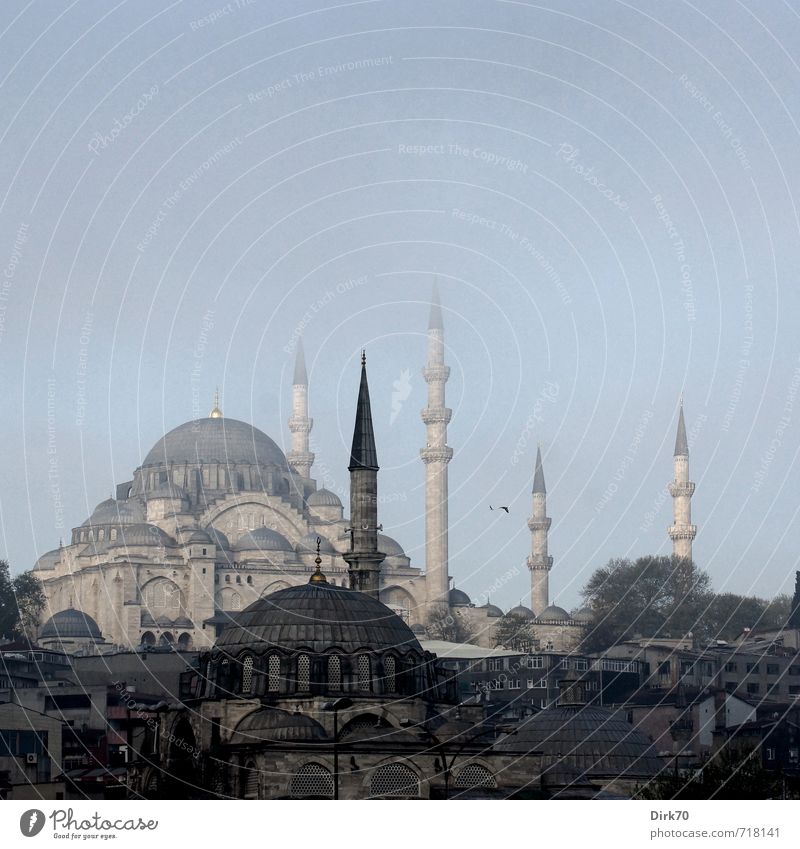 Spitzig Ferien & Urlaub & Reisen Ferne Städtereise Frühling Schönes Wetter Nebel Istanbul Türkei Stadt Stadtzentrum Skyline Bauwerk Architektur Moschee Minarett