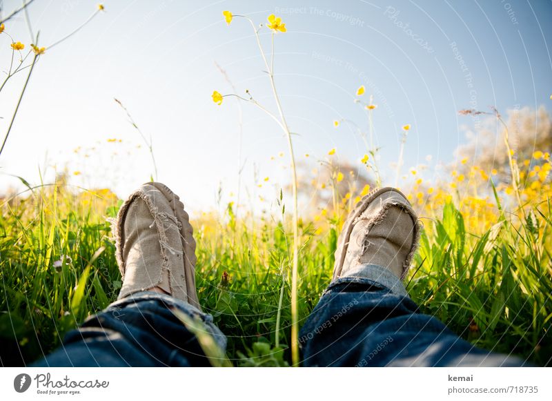 Wiesenliegen deluxe Lifestyle Glück Mensch Leben Beine Fuß 1 Natur Himmel Frühling Gras Blüte Grünpflanze Jeanshose Schuhe Stoffschuhe Erholung frisch gelb grün