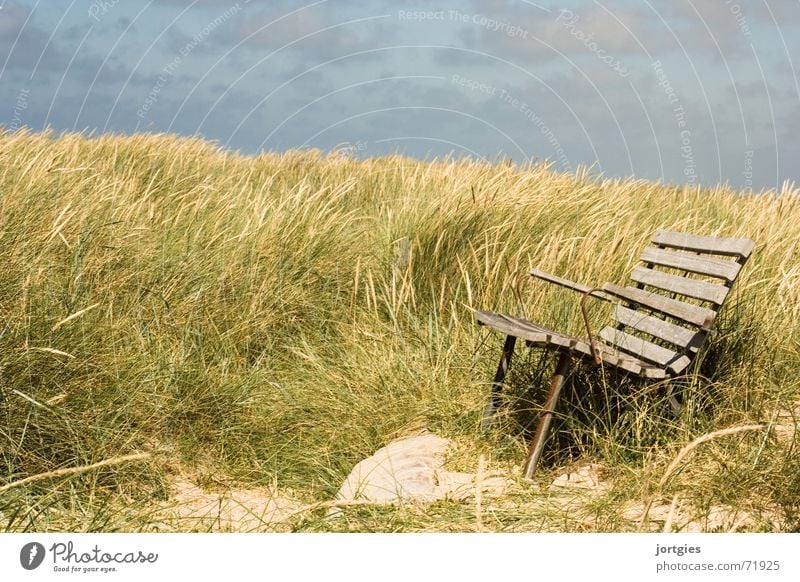 Stilles Örtchen Bank sitzen Stranddüne Düne Meer Gras Wind Küste Brise Erholung Pause ruhig Ferien & Urlaub & Reisen