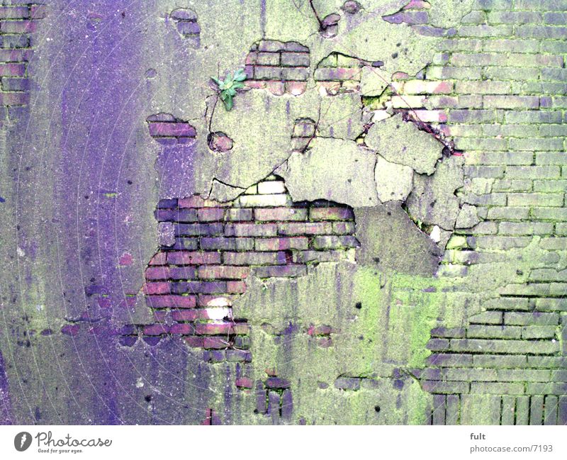 alteWand Mauer Putz Strukturen & Formen grün violett Architektur Loch Stein