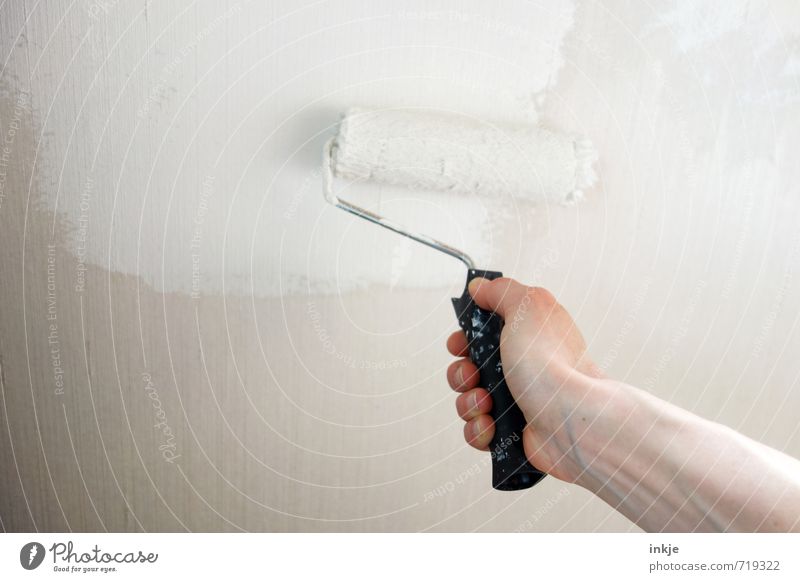 Wandmalerei Häusliches Leben Renovieren Arbeit & Erwerbstätigkeit Beruf Handwerker Anstreicher Baustelle 1 Mensch farbrolle Tapete Farbe machen streichen alt