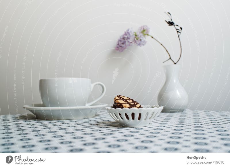Kaffeepause mit Flieder Heißgetränk Kakao Tee Häusliches Leben Innenarchitektur Dekoration & Verzierung Tisch ästhetisch schön retro rund Sauberkeit grau weiß