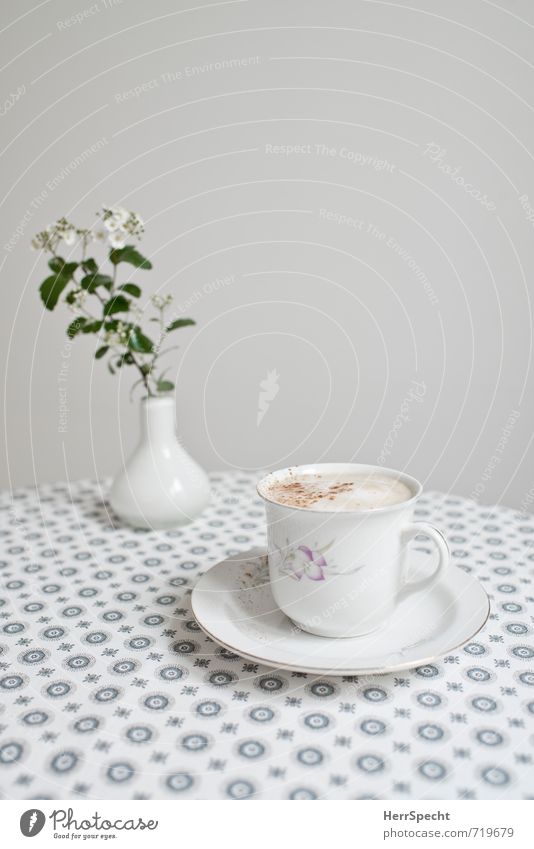 Schnelles Frühstück Getränk Heißgetränk Kaffee Häusliches Leben Tisch Küche schön retro rund Sauberkeit grau weiß Cappuccino Milchkaffee Kaffeeschaum Vase