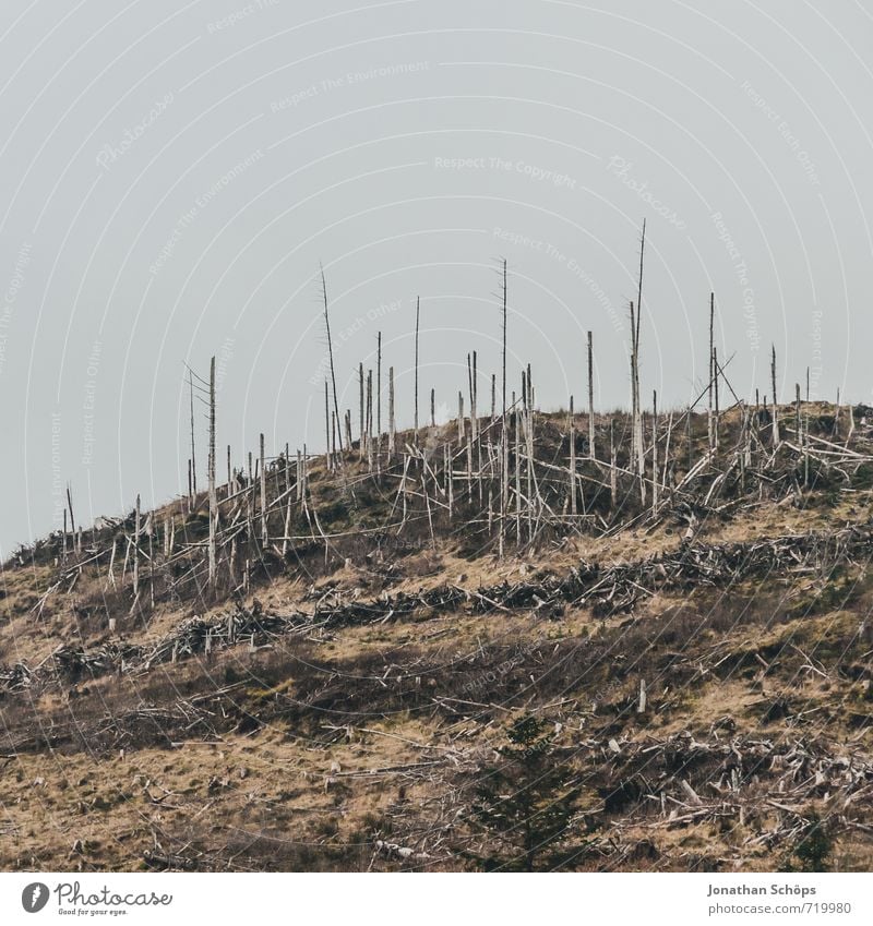 ganz schön zermöbelt Umwelt Natur Landschaft schlechtes Wetter Wald Hügel hässlich Trauer Schmerz Enttäuschung gefährlich Zerstörung Schottland Isle of Skye