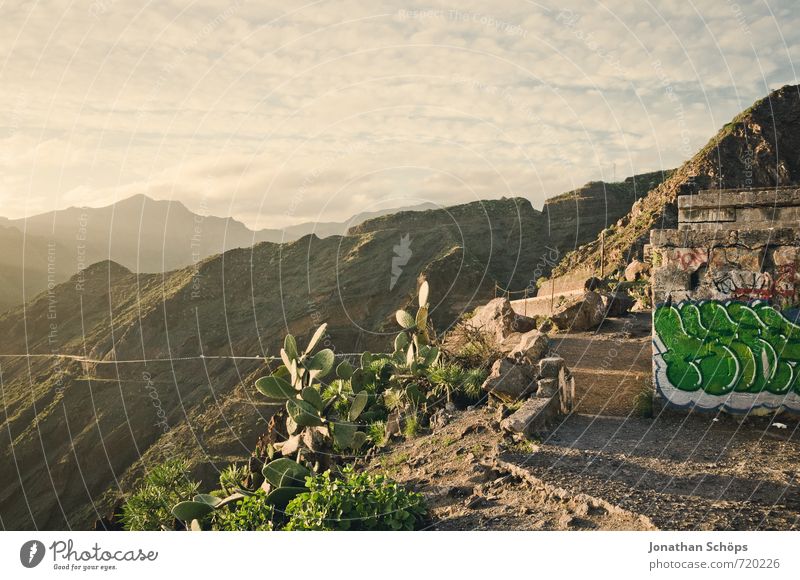 San Andrés / Teneriffa XXI Umwelt Natur Landschaft Himmel Sonne Sonnenaufgang Sonnenuntergang Sonnenlicht Schönes Wetter Kaktus ästhetisch Kanaren Insel
