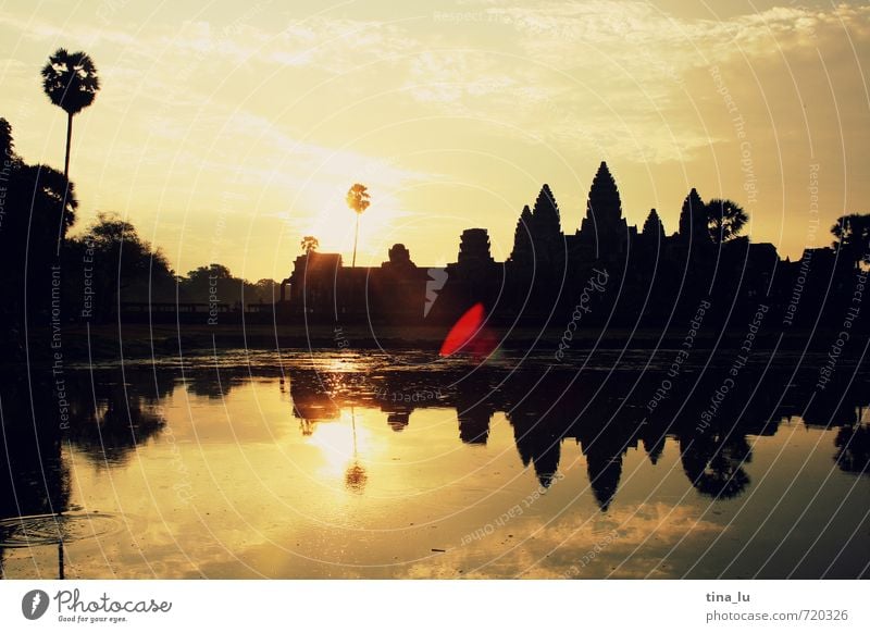 Angkor Wat Sonne Schönes Wetter Baum Turm Armut ästhetisch schön braun gelb gold schwarz Abenteuer einzigartig elegant erleben Ferien & Urlaub & Reisen