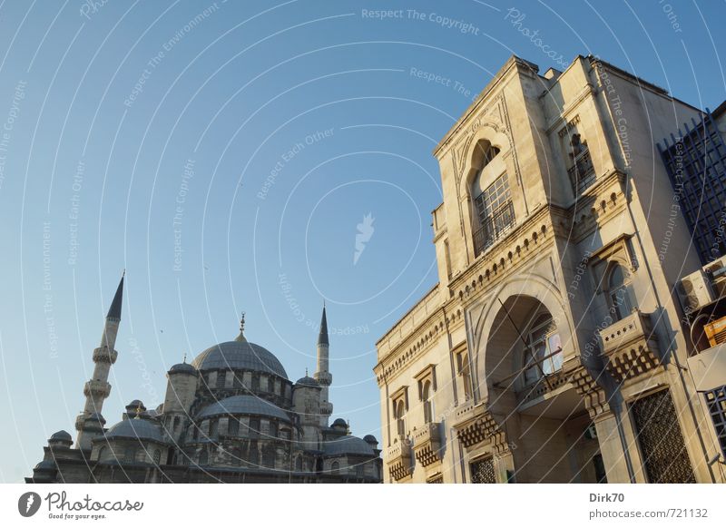 Architektur orientalisch Ferien & Urlaub & Reisen Tourismus Ferne Städtereise Naher und Mittlerer Osten Wolkenloser Himmel Sonnenlicht Schönes Wetter Istanbul