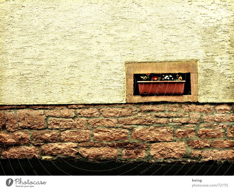schöne Aussicht Fenster Blume Blumenkasten Fassade Wand Mauer Häusliches Leben Putz Sandstein Dekoration & Verzierung Grenzbefestigung Schmuck Pflanze begegnen