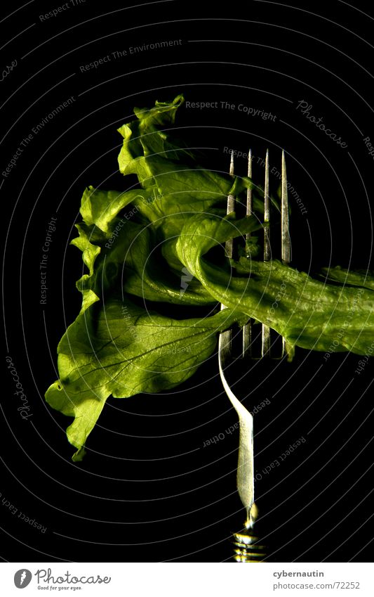 Eisbergsalat (farbig) Gabel Küche grün Salat Metall Ernährung Vegetarische Ernährung