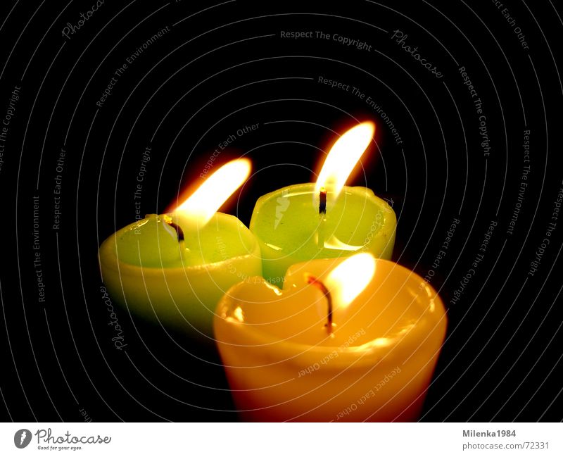 Kerzenschein Licht Freundlichkeit gelb grün Romantik Stimmung besinnlich harmonisch dunkel Innenaufnahme hell Farbe Vor dunklem Hintergrund Makroaufnahme