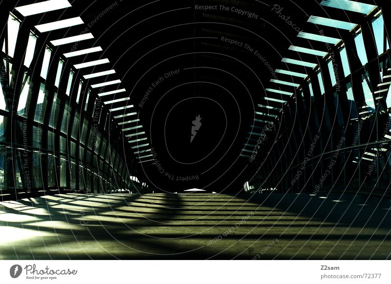 always straightforward II Tunnel Tunnelblick Licht Sonnenstrahlen Holz gehen Physik Muster light Brücke holzweg Wärme lines Linie