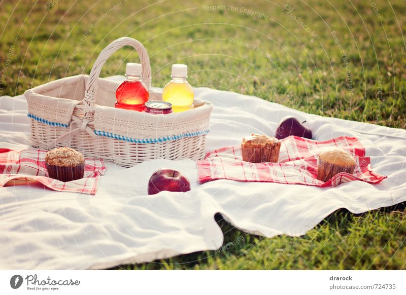 Picnic Frucht Apfel Kuchen Picknick Getränk trinken Erfrischungsgetränk Limonade Saft süß Cupcake Korb rot Gras Park Feld Flasche Farbfoto Außenaufnahme