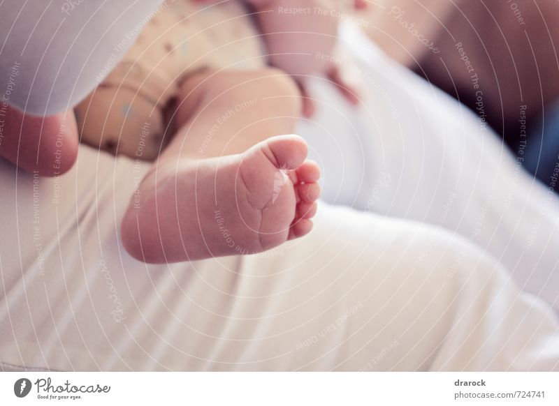 Nahaufnahme von Säuglingsfüßen maskulin Baby Fuß 0-12 Monate Kindheit klein Drarock Farbfoto Gedeckte Farben Detailaufnahme Licht Schwache Tiefenschärfe