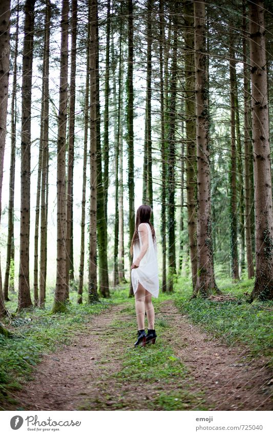 wohin? feminin Junge Frau Jugendliche 1 Mensch 18-30 Jahre Erwachsene Umwelt Natur Wald Kleid außergewöhnlich dünn Geister u. Gespenster geisterhaft Einsamkeit