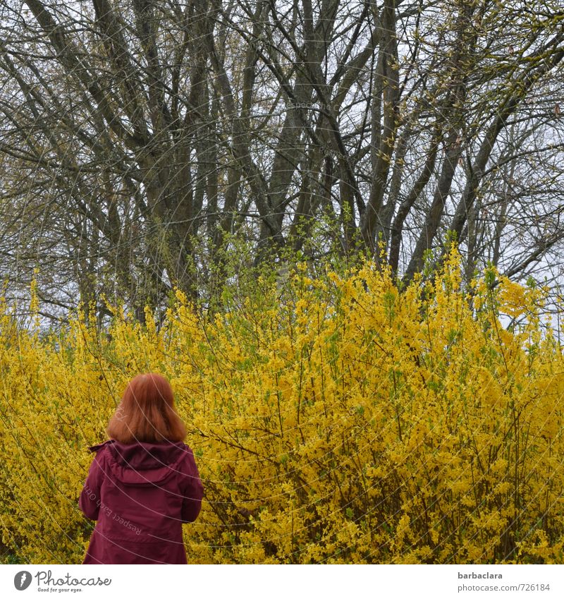 AST 7 | lady in red feminin Frau Erwachsene 1 Mensch Natur Landschaft Pflanze Frühling Baum Sträucher Park Mantel rothaarig Blick stehen frisch viele wild gelb