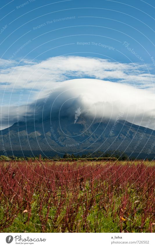 Welcome To Taranaki Umwelt Natur Landschaft Pflanze Urelemente Himmel Wolken Gewitterwolken Herbst schlechtes Wetter Unwetter Blüte Felsen Berge u. Gebirge