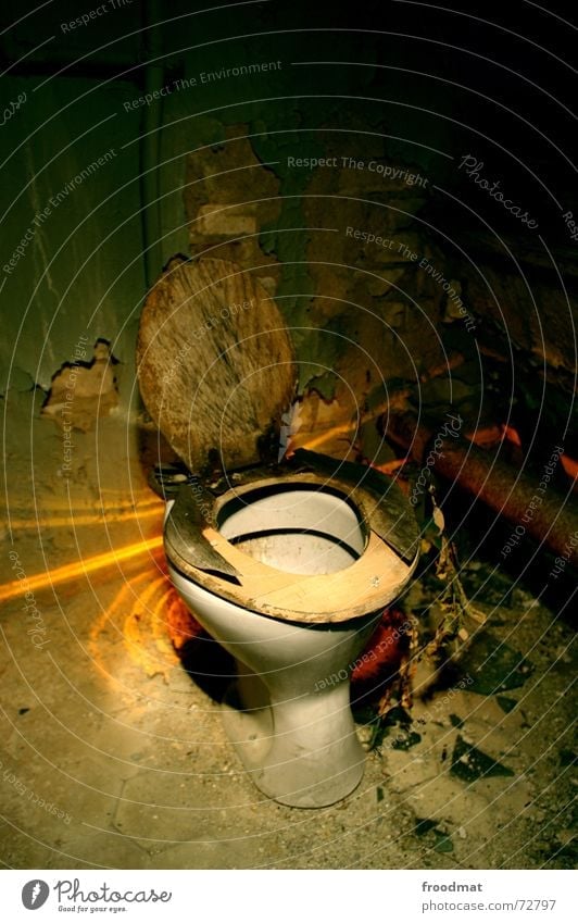 Toilette staubig dreckig Staub Putz Brille Holz Langzeitbelichtung Bedürfnisse Dorf Pissoir Müll Licht Abfluss hässlich gruselig Raumpfleger Pflanze Einsamkeit