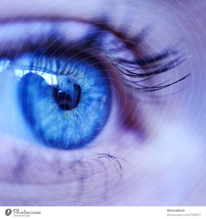 my eyes to see. Mensch feminin Erwachsene Auge 1 18-30 Jahre Jugendliche authentisch Ferne hell natürlich schön Erotik blau Pupille Wimpern Wimperntusche