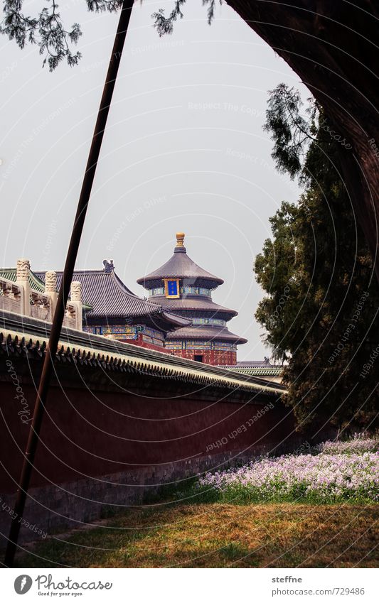 Spieldose Peking China Stadt Stadtleben Chinesische Architektur Tempel Frühling Park