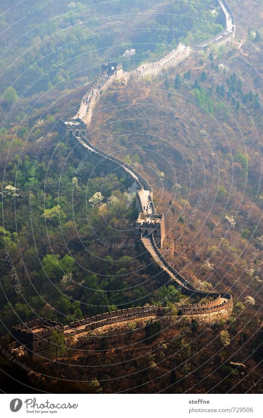 Die Mauer muss ... Landschaft Berge u. Gebirge China Sehenswürdigkeit Wahrzeichen Chinesische Mauer ästhetisch außergewöhnlich historisch Farbfoto