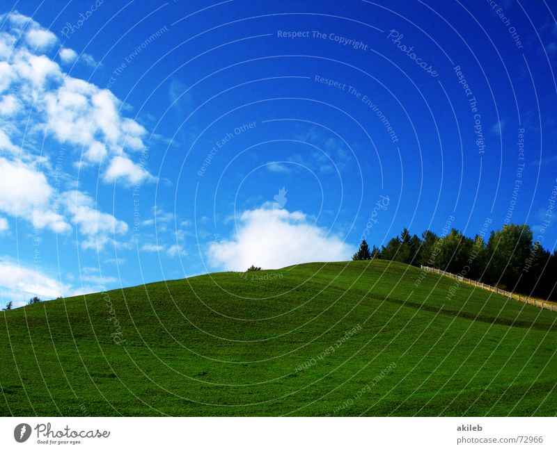 Teletubbies XP Wiese Gras grün Wolken ruhig Hintergrundbild Geborgenheit Erholung Außenaufnahme Natur blau Himmel Rasen Weide Wärme Fantasygeschichte