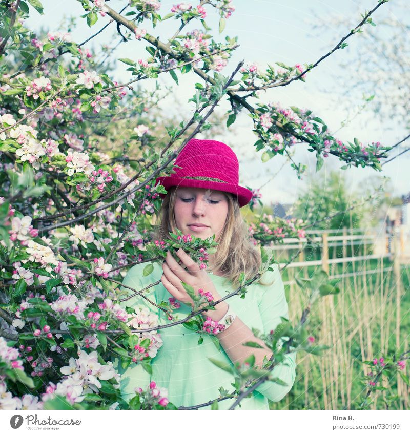Pink im Quadrat Mädchen Junge Frau Jugendliche Leben 1 Mensch 13-18 Jahre Kind Frühling Schönes Wetter Baum Gras Blüte Garten Wiese T-Shirt Accessoire Hut blond