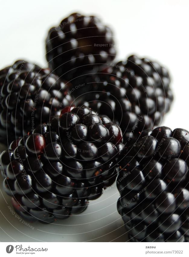 blackberry ohne email-funktion! Farbfoto Lebensmittel Frucht Dessert Ernährung süß Vitamin Brombeeren Beeren