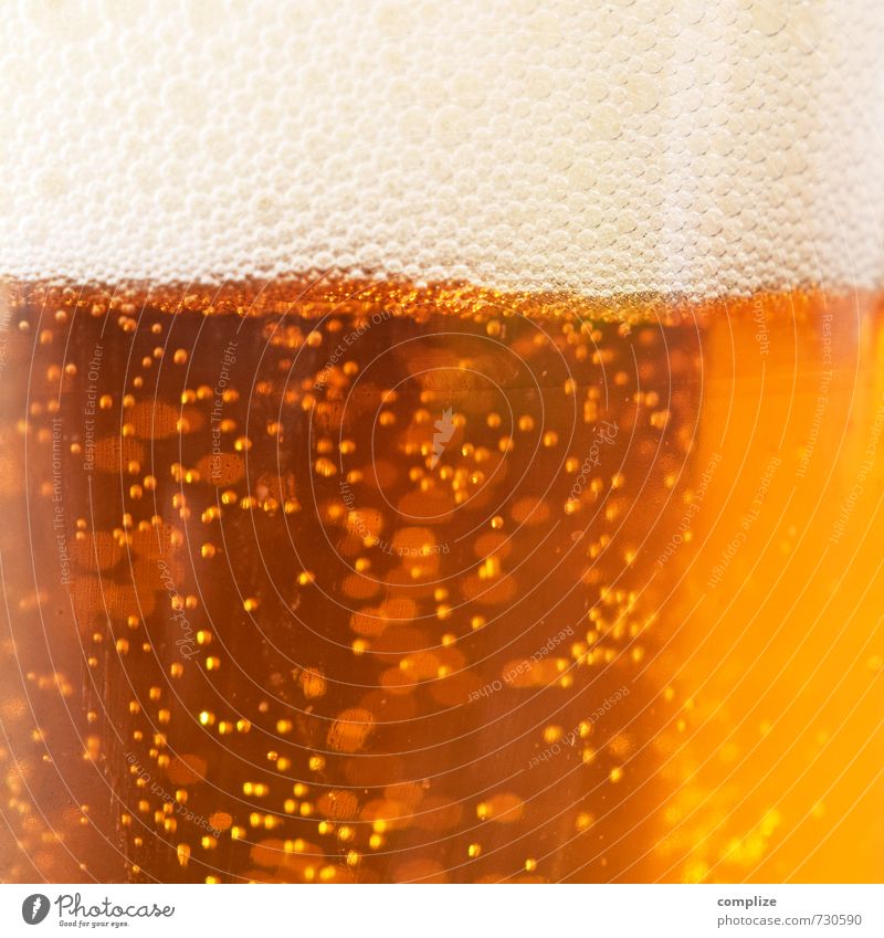 Prost Bayern! Getränk Alkohol Bier Glas Gesundheit Rauschmittel Nachtleben Club Disco ausgehen Feste & Feiern trinken Gastronomie Schaum Blase Kohlensäure