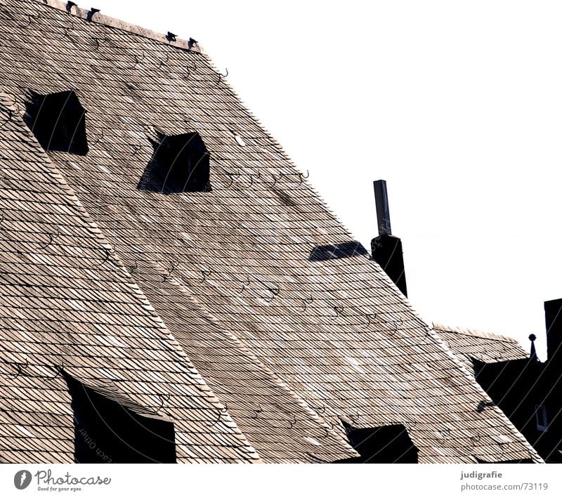 Dach Satteldach Dachfirst Wange Speiseröhre Deckung Haken 4 Taube Vogel Backstein Dachziegel ruhig Fenster Dachgaube Haus Altbau Gebäude Goslar dachhäuschen