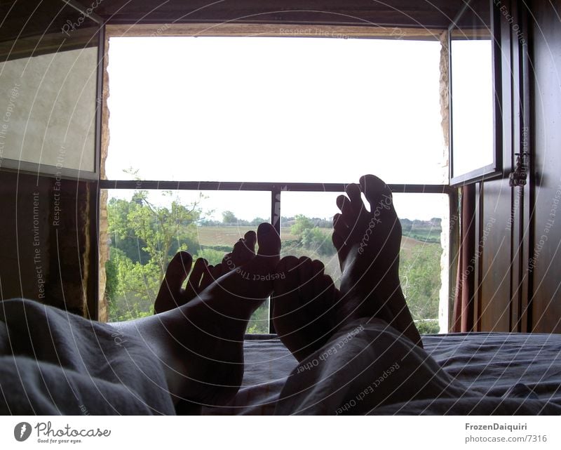 Guten Morgen! 2 Bett aufwachen Fenster Toskana Zehen Zusammensein Zukunft Gedanke schlafen Ferien & Urlaub & Reisen Freizeit & Hobby Mensch offen Fuß Paar Blick