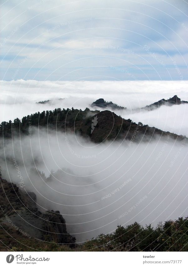 Über den Gipfeln und Wolken Berge u. Gebirge Nebel groß oben blau grau weiß Ferne Nebelwald La Palma Farbfoto Gedeckte Farben Außenaufnahme Menschenleer Tag