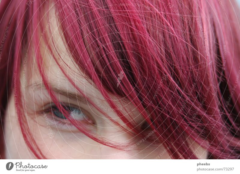 ein sommer wie damals... rosa Frau Augenbraue Porträt violett Haarsträhne Stimmung Sommer Wimpern Wind Haare & Frisuren Nase Haut abgescnitten Gesicht lachen