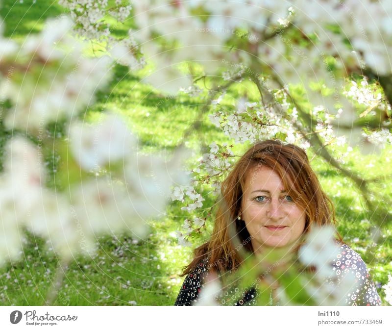 AST 7 |Porträt einer jungen Frau unter Kirschblütenzweigen Mensch feminin Junge Frau Jugendliche Kopf Haare & Frisuren Gesicht Auge Nase Mund Lippen 1 Sonne