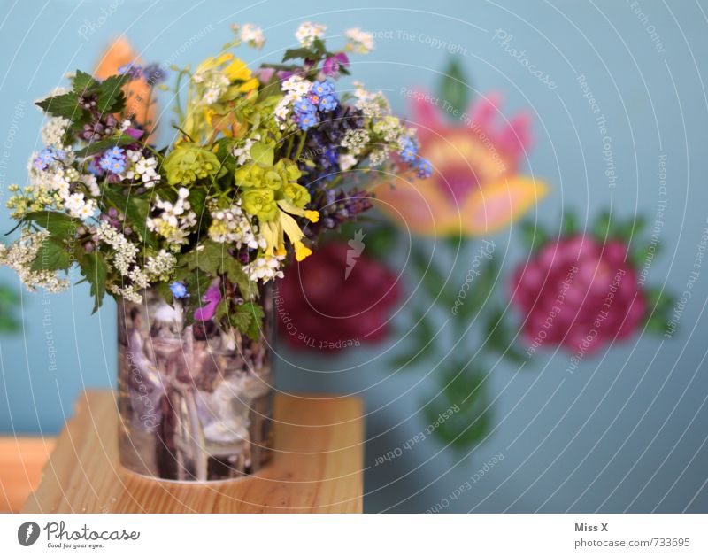 Bauernstrauß Wohnung Dekoration & Verzierung Frühling Sommer Blume Blüte Blühend Duft mehrfarbig Landhausstil Vase Blumenstrauß Schlüsselblumengewächse