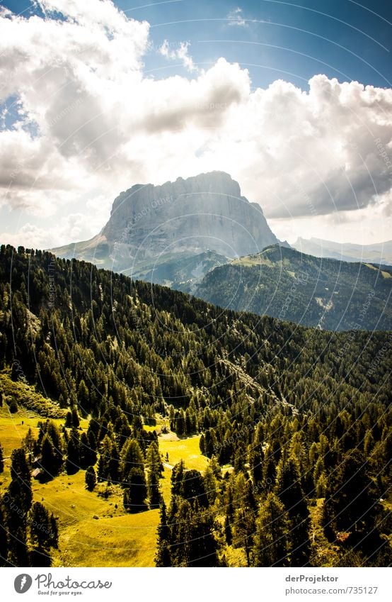 Der Berg ruft in Südtirol Freizeit & Hobby Ferien & Urlaub & Reisen Tourismus Abenteuer Ferne Freiheit Berge u. Gebirge wandern Umwelt Natur Landschaft Pflanze