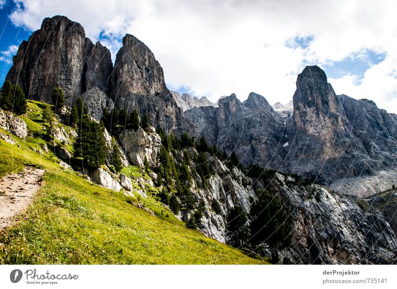 Die Dolomiten rufen Freizeit & Hobby Ferien & Urlaub & Reisen Tourismus Abenteuer Ferne Freiheit Berge u. Gebirge wandern Umwelt Natur Landschaft Pflanze